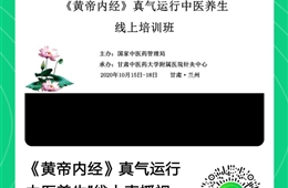 热烈祝贺国家级继续教育项目“《黄帝内经》真气运行中医养生培训班”在线上圆满举行