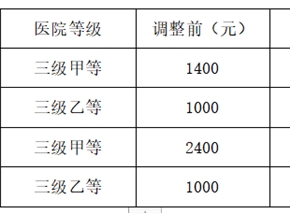 关于调整市医保职工/居民基本医疗保险待遇标准的通知