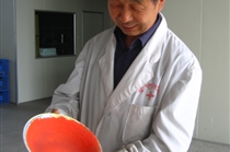 展示炼成的三仙丹