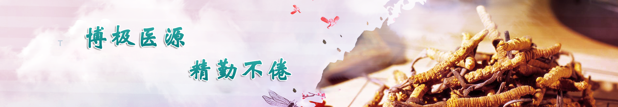 就医指南