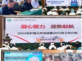 2022年护理工作总结暨2023年工作计划汇报会